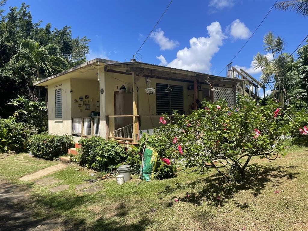 Camino Entrada Alley Lago, PR 00926 - Photo 14 of 82 a front view of a house with a yard