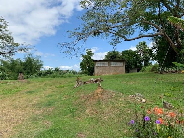 Camino Entrada Alley Lago, PR 00926 - Photo 15 of 82 a view of a backyard