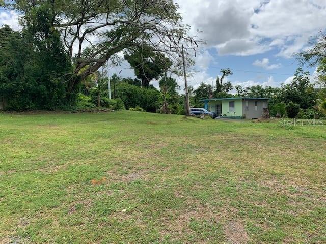 Camino Entrada Alley Lago, PR 00926 - Photo 16 of 82 a view of outdoor space and yard