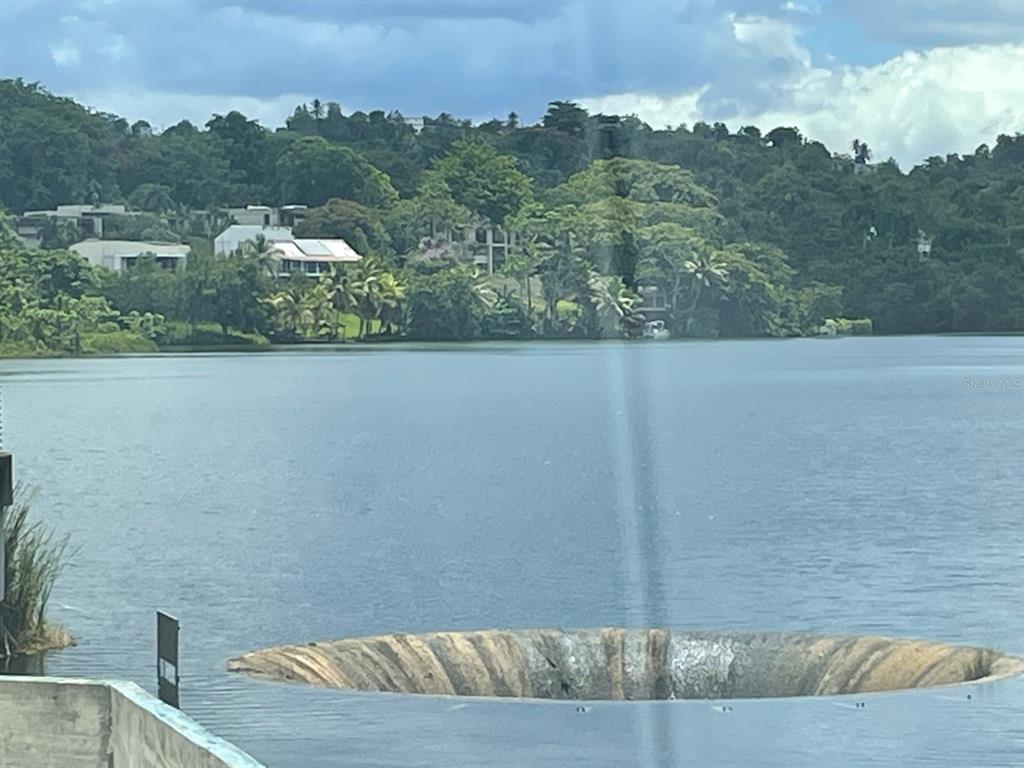 Camino Entrada Alley Lago, PR 00926 - Photo 19 of 82 a view of a couches in a backyard of a house