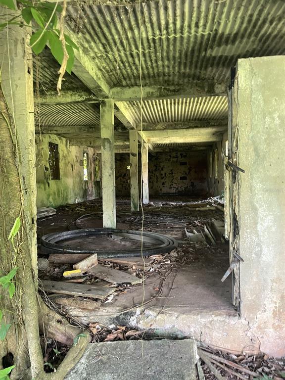 Camino Entrada Alley Lago, PR 00926 - Photo 21 of 82