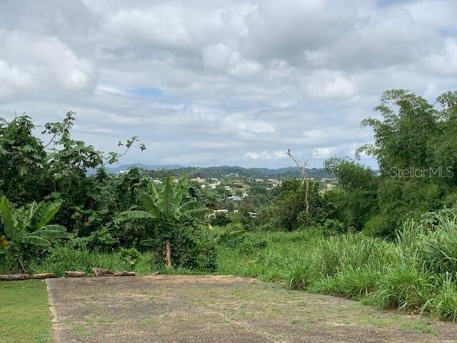 Camino Entrada Alley Lago, PR 00926 - Photo 22 of 82
