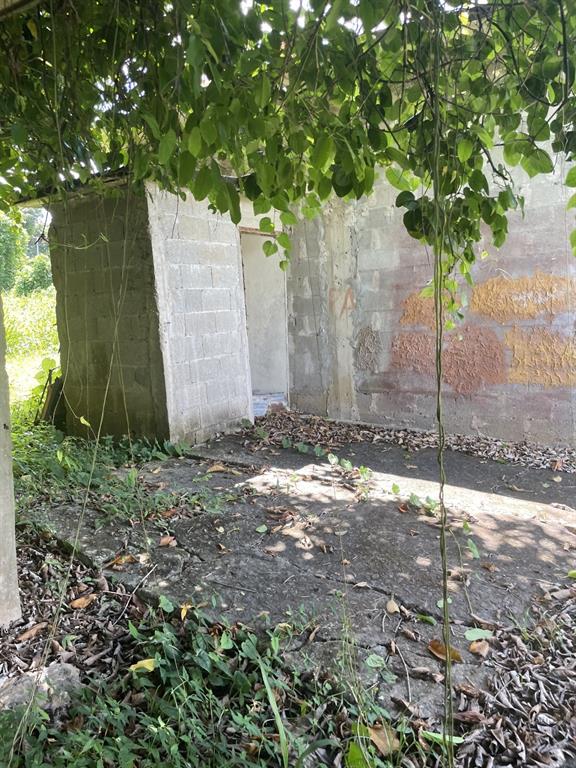 Camino Entrada Alley Lago, PR 00926 - Photo 25 of 82 a backyard of a house
