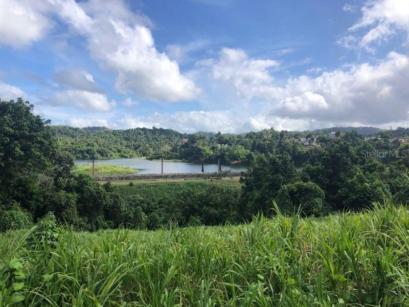 Camino Entrada Alley Lago, PR 00926 - Photo 26 of 82