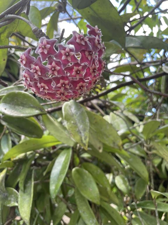 Camino Entrada Alley Lago, PR 00926 - Photo 27 of 82