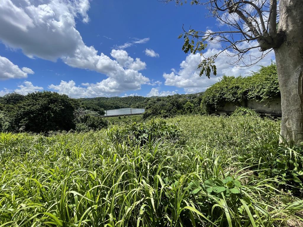 Camino Entrada Alley Lago, PR 00926 - Photo 28 of 82