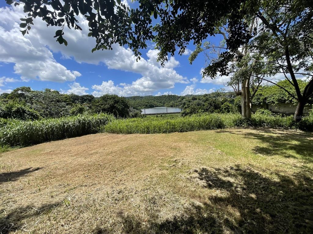 Camino Entrada Alley Lago, PR 00926 - Photo 31 of 82 a view of a backyard of a house