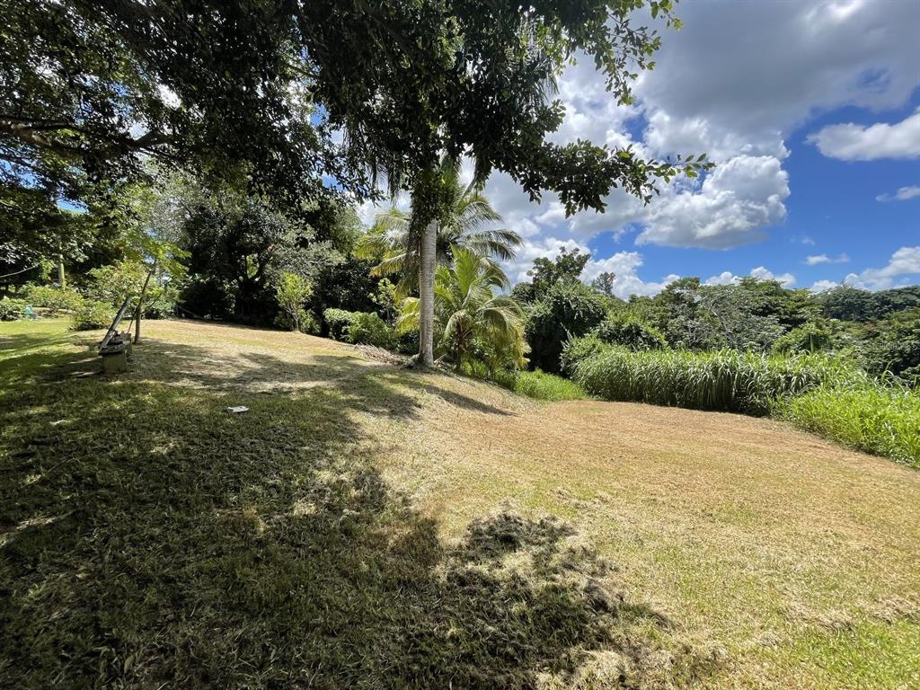 Camino Entrada Alley Lago, PR 00926 - Photo 32 of 82