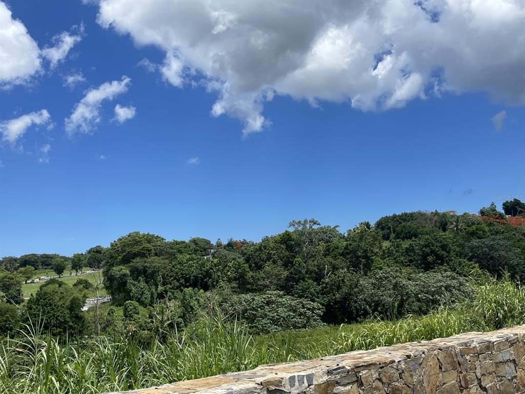 Camino Entrada Alley Lago, PR 00926 - Photo 34 of 82 a view of a city with lush green forest