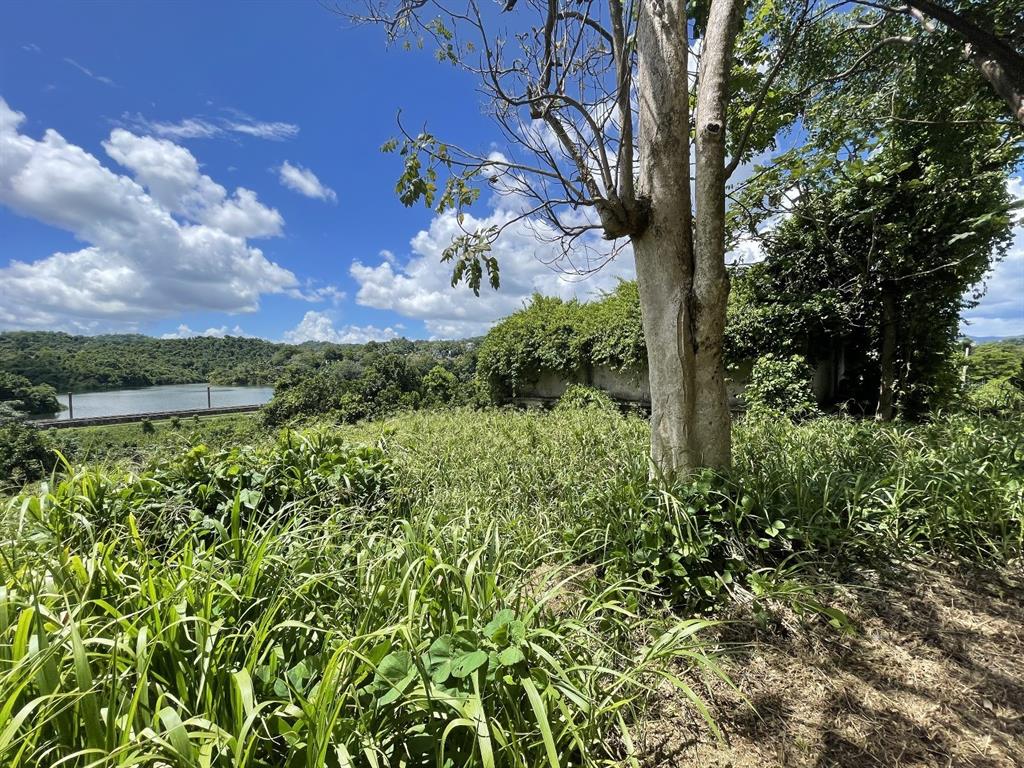 Camino Entrada Alley Lago, PR 00926 - Photo 39 of 82 a view of a house with a big yard
