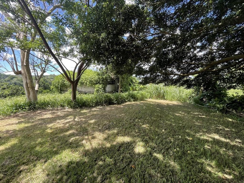 Camino Entrada Alley Lago, PR 00926 - Photo 40 of 82 a view of a yard with large trees