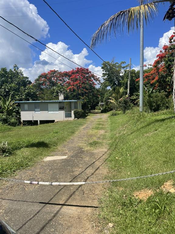 Camino Entrada Alley Lago, PR 00926 - Photo 4 of 82 a view of a swimming pool with a garden