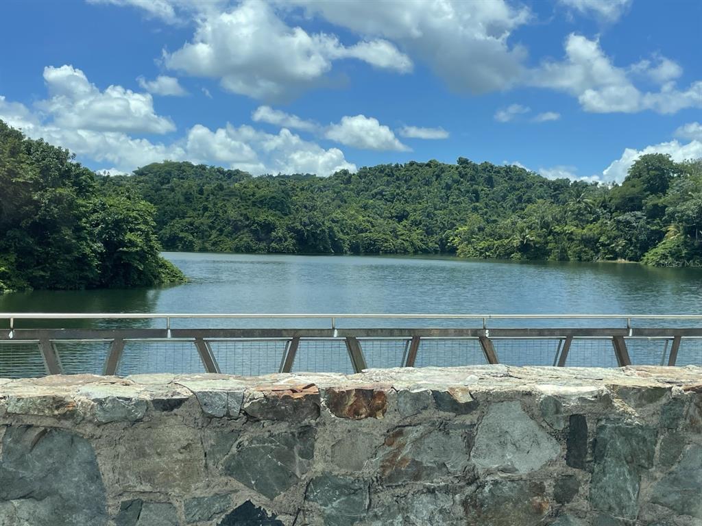 Camino Entrada Alley Lago, PR 00926 - Photo 42 of 82 a backyard of a house with lots of green space and lake view