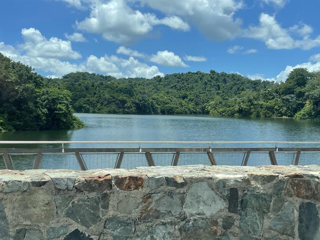 Camino Entrada Alley Lago, PR 00926 - Photo 43 of 82 a view of outdoor space with swimming pool and trees in the background