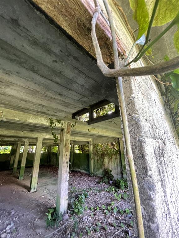 Camino Entrada Alley Lago, PR 00926 - Photo 44 of 82