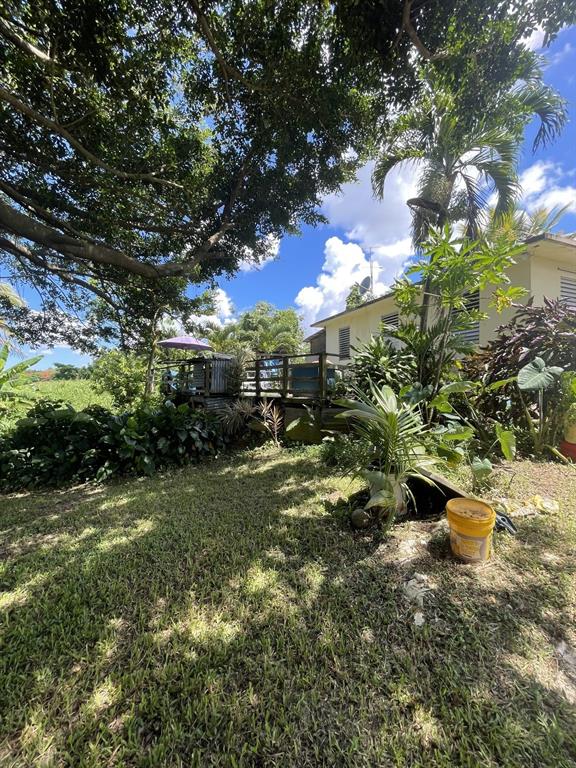 Camino Entrada Alley Lago, PR 00926 - Photo 45 of 82 a view of a backyard of the house