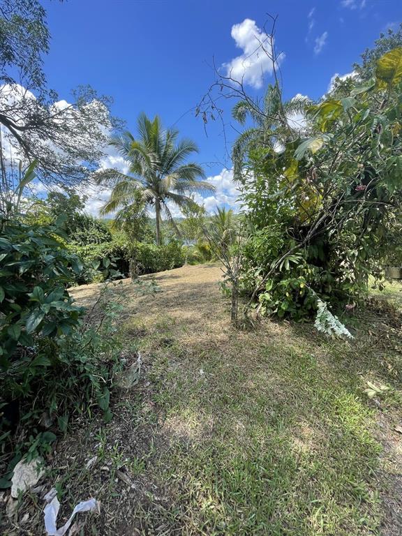 Camino Entrada Alley Lago, PR 00926 - Photo 47 of 82