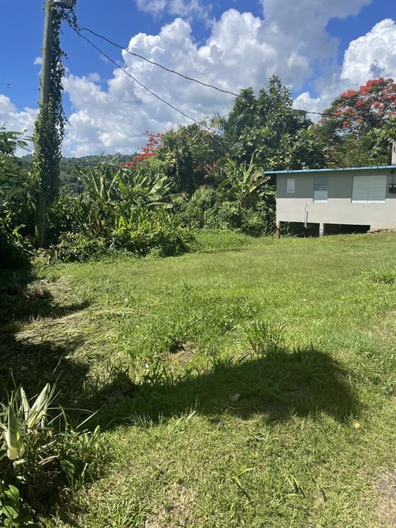 Camino Entrada Alley Lago, PR 00926 - Photo 49 of 82 a view of a garden with a bench in the middle