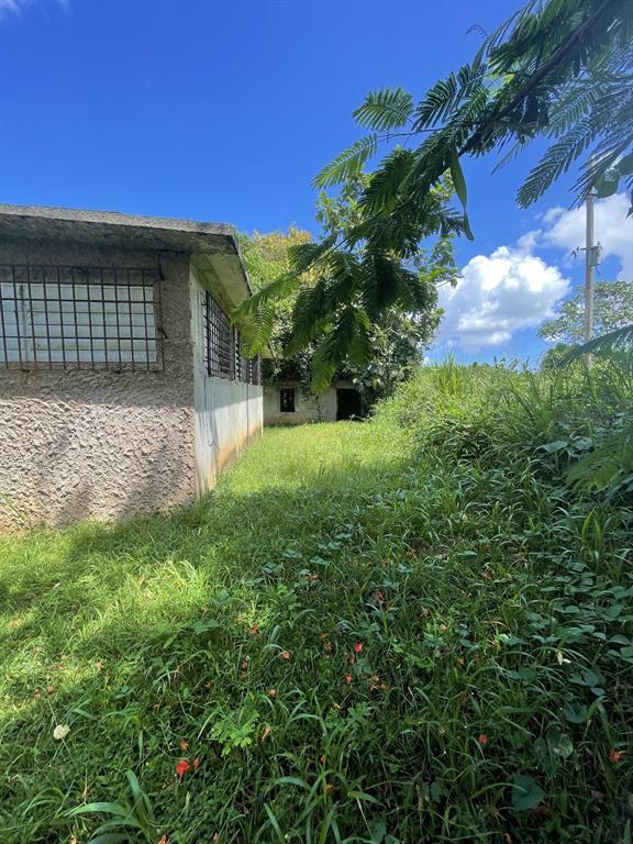 Camino Entrada Alley Lago, PR 00926 - Photo 50 of 82 a view of a backyard with plants