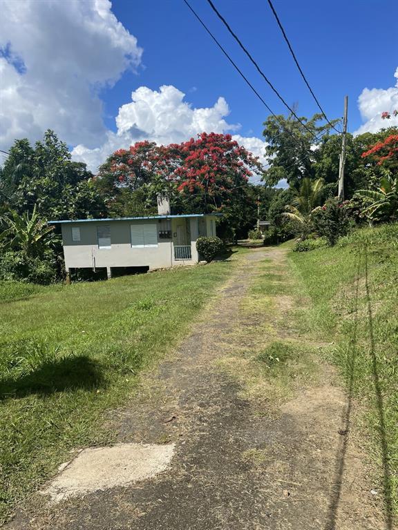 Camino Entrada Alley Lago, PR 00926 - Photo 5 of 82