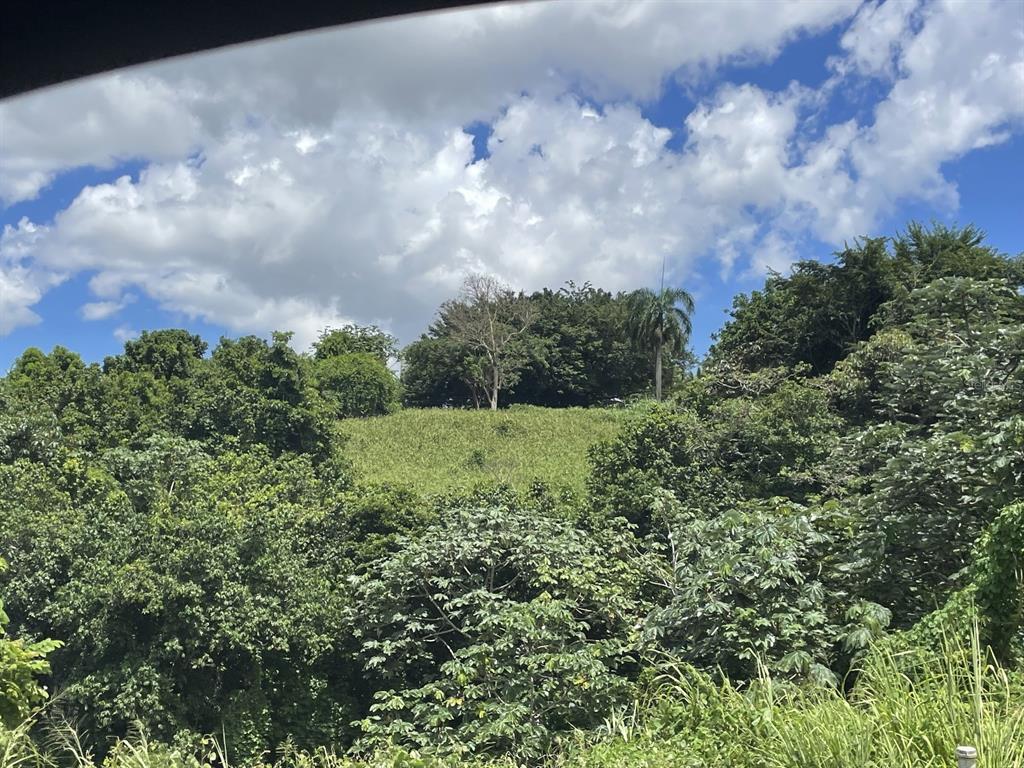 Camino Entrada Alley Lago, PR 00926 - Photo 51 of 82