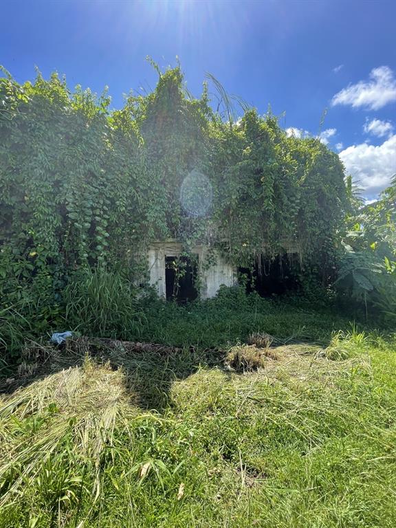 Camino Entrada Alley Lago, PR 00926 - Photo 52 of 82 a view of a garden with a building in the background