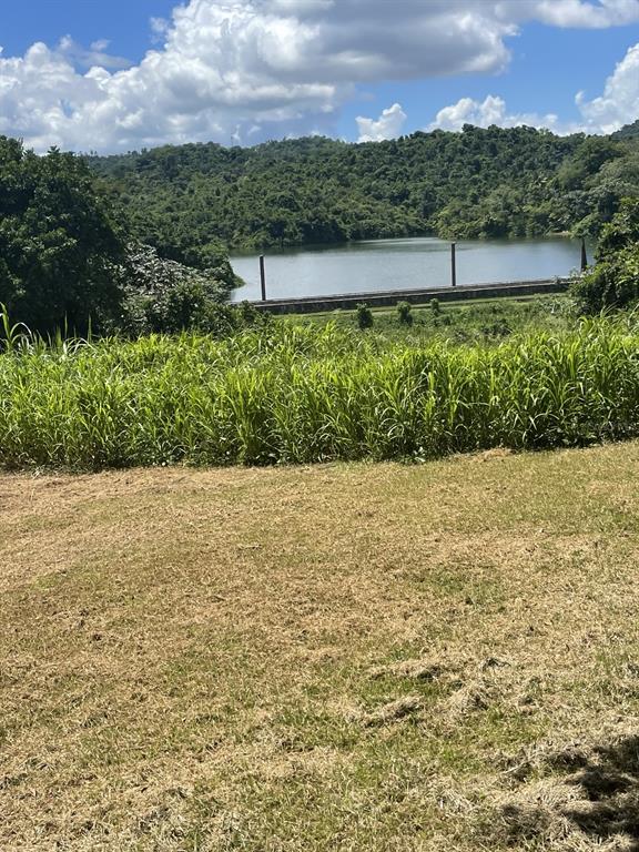 Camino Entrada Alley Lago, PR 00926 - Photo 53 of 82