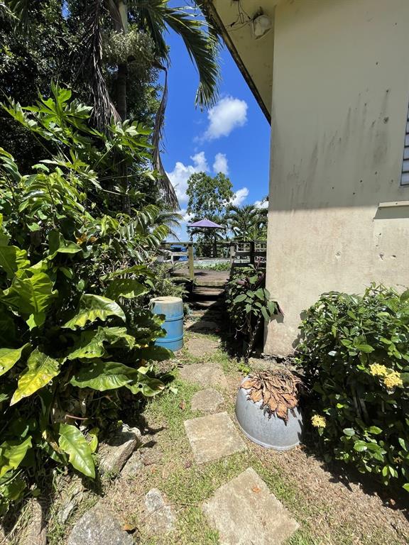 Camino Entrada Alley Lago, PR 00926 - Photo 55 of 82