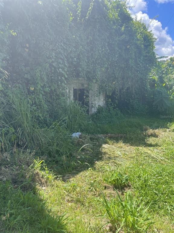 Camino Entrada Alley Lago, PR 00926 - Photo 57 of 82