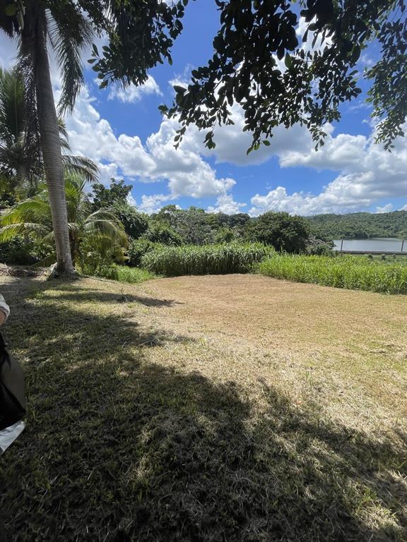 Camino Entrada Alley Lago, PR 00926 - Photo 58 of 82 a view of a lake from a yard