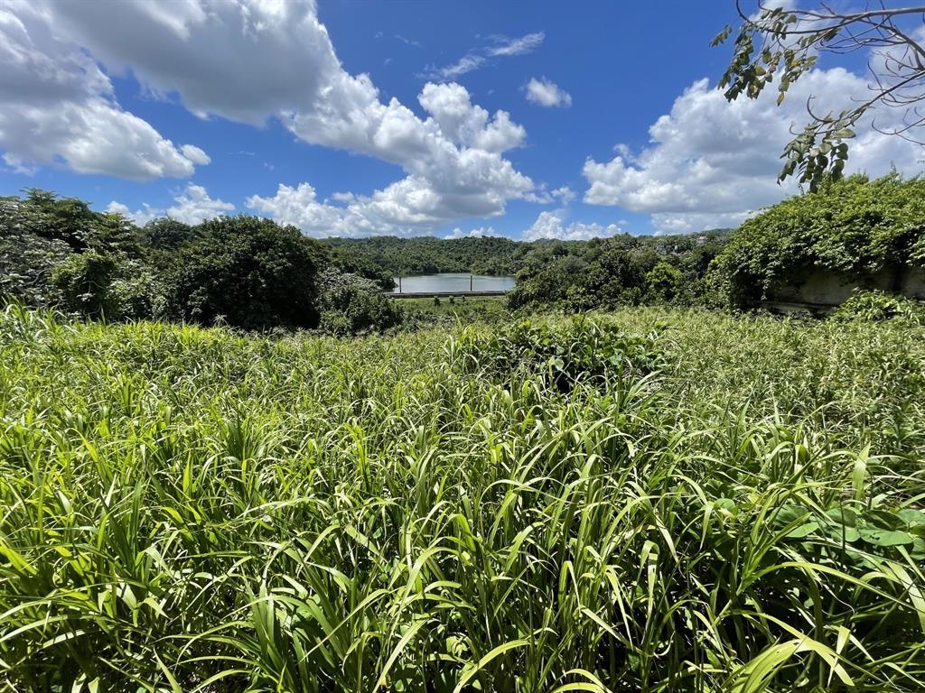 Camino Entrada Alley Lago, PR 00926 - Photo 59 of 82 a view of a city with lush green forest