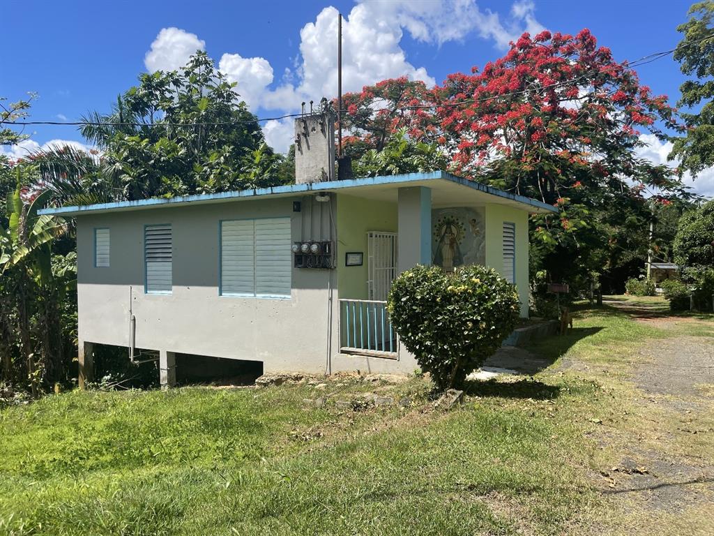Camino Entrada Alley Lago, PR 00926 - Photo 6 of 82 a front view of a house with garden
