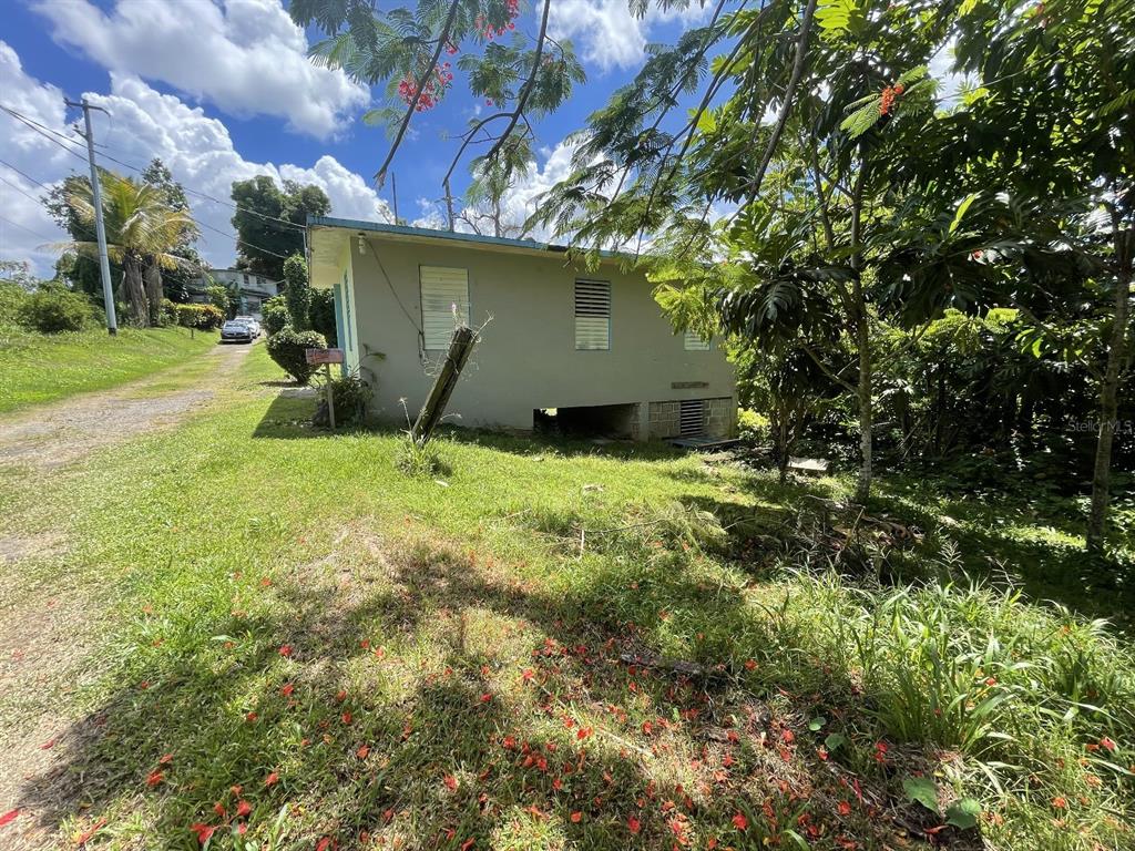 Camino Entrada Alley Lago, PR 00926 - Photo 61 of 82