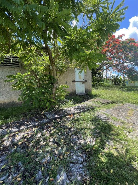 Camino Entrada Alley Lago, PR 00926 - Photo 63 of 82 a view of a tree in a yard with plants and large trees