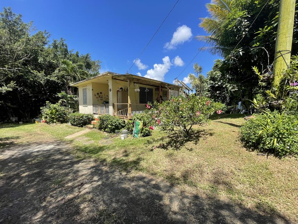 Camino Entrada Alley Lago, PR 00926 - Photo 64 of 82 a front view of a house with a yard