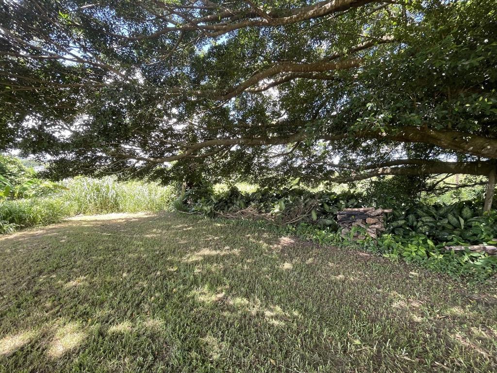 Camino Entrada Alley Lago, PR 00926 - Photo 65 of 82