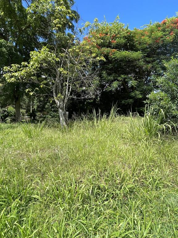 Camino Entrada Alley Lago, PR 00926 - Photo 68 of 82