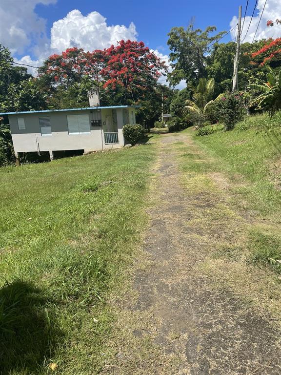 Camino Entrada Alley Lago, PR 00926 - Photo 72 of 82