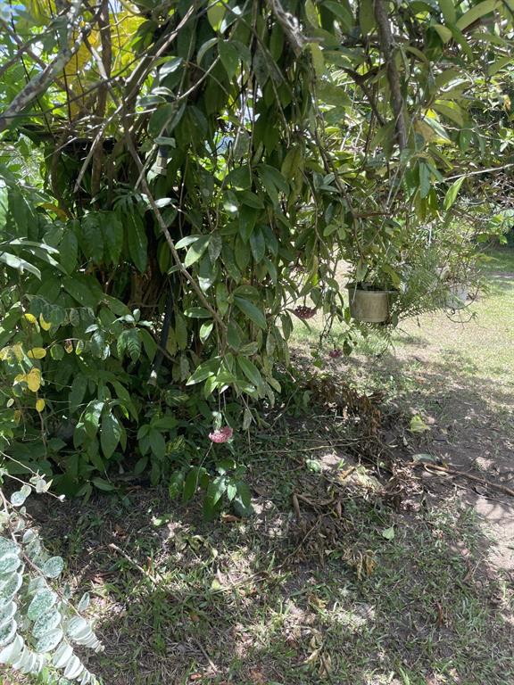 Camino Entrada Alley Lago, PR 00926 - Photo 74 of 82