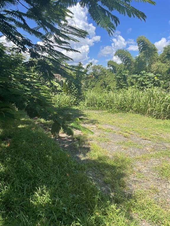 Camino Entrada Alley Lago, PR 00926 - Photo 75 of 82 a backyard of a house with lots of green space and outdoor seating