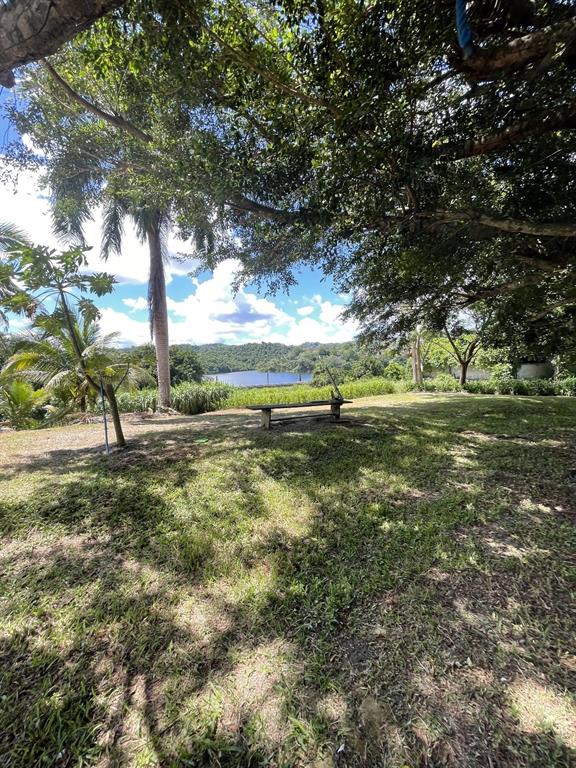 Camino Entrada Alley Lago, PR 00926 - Photo 76 of 82 a view of a field with a tree