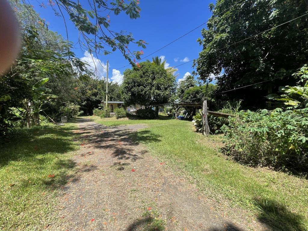 Camino Entrada Alley Lago, PR 00926 - Photo 77 of 82 a view of a park with large trees