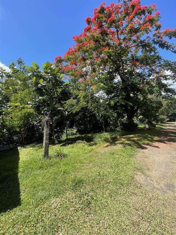 Camino Entrada Alley Lago, PR 00926 - Photo 78 of 82