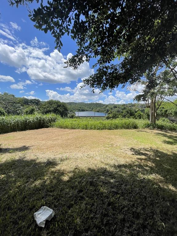 Camino Entrada Alley Lago, PR 00926 - Photo 79 of 82 a view of a yard with an trees