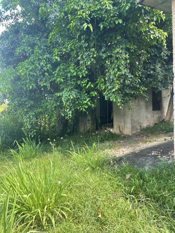 Camino Entrada Alley Lago, PR 00926 - Photo 80 of 82