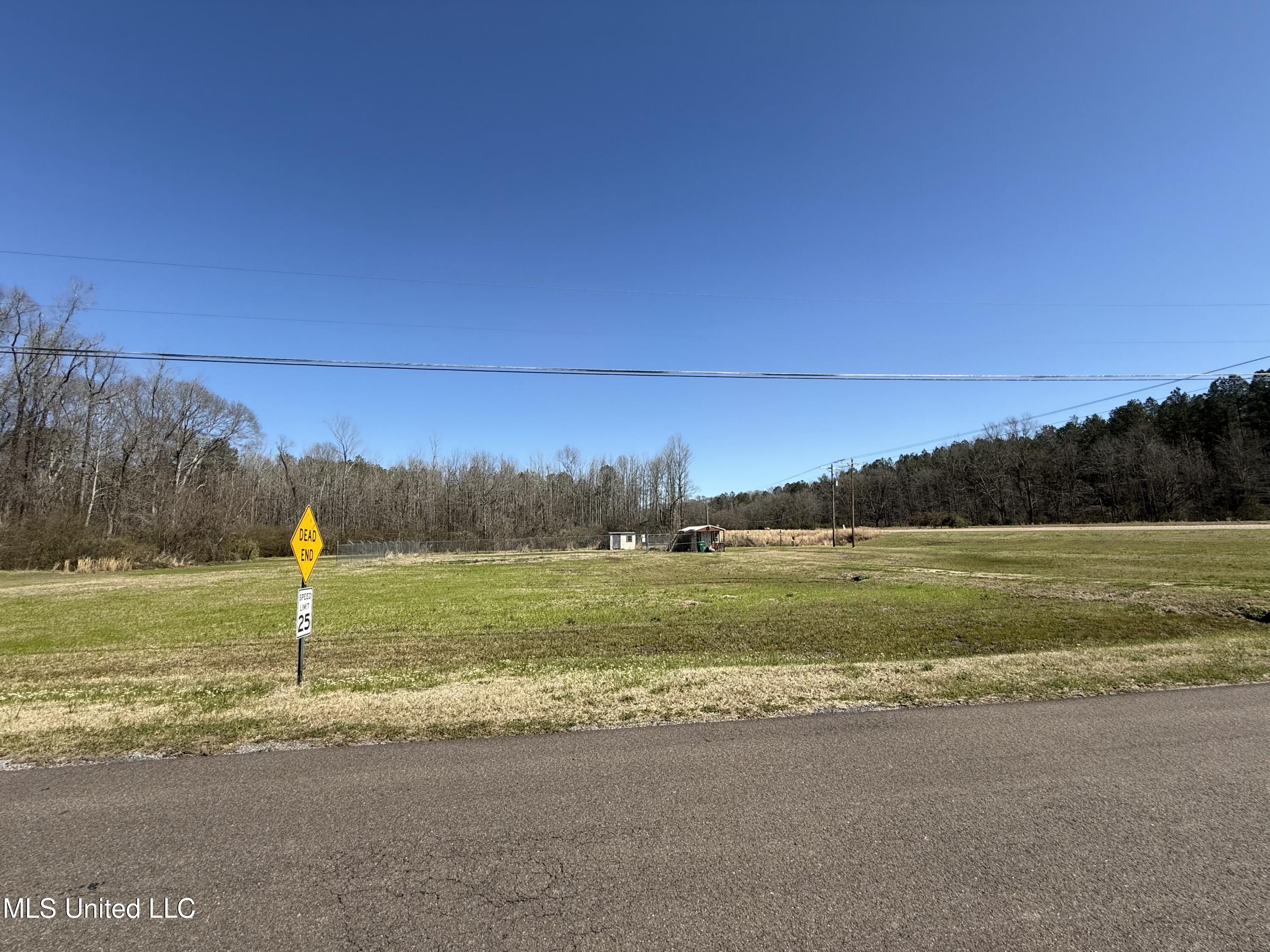 0 Highway 18 Highway Raymond, MS 39154 - Photo 3 of 4 IMG_1481 (1)