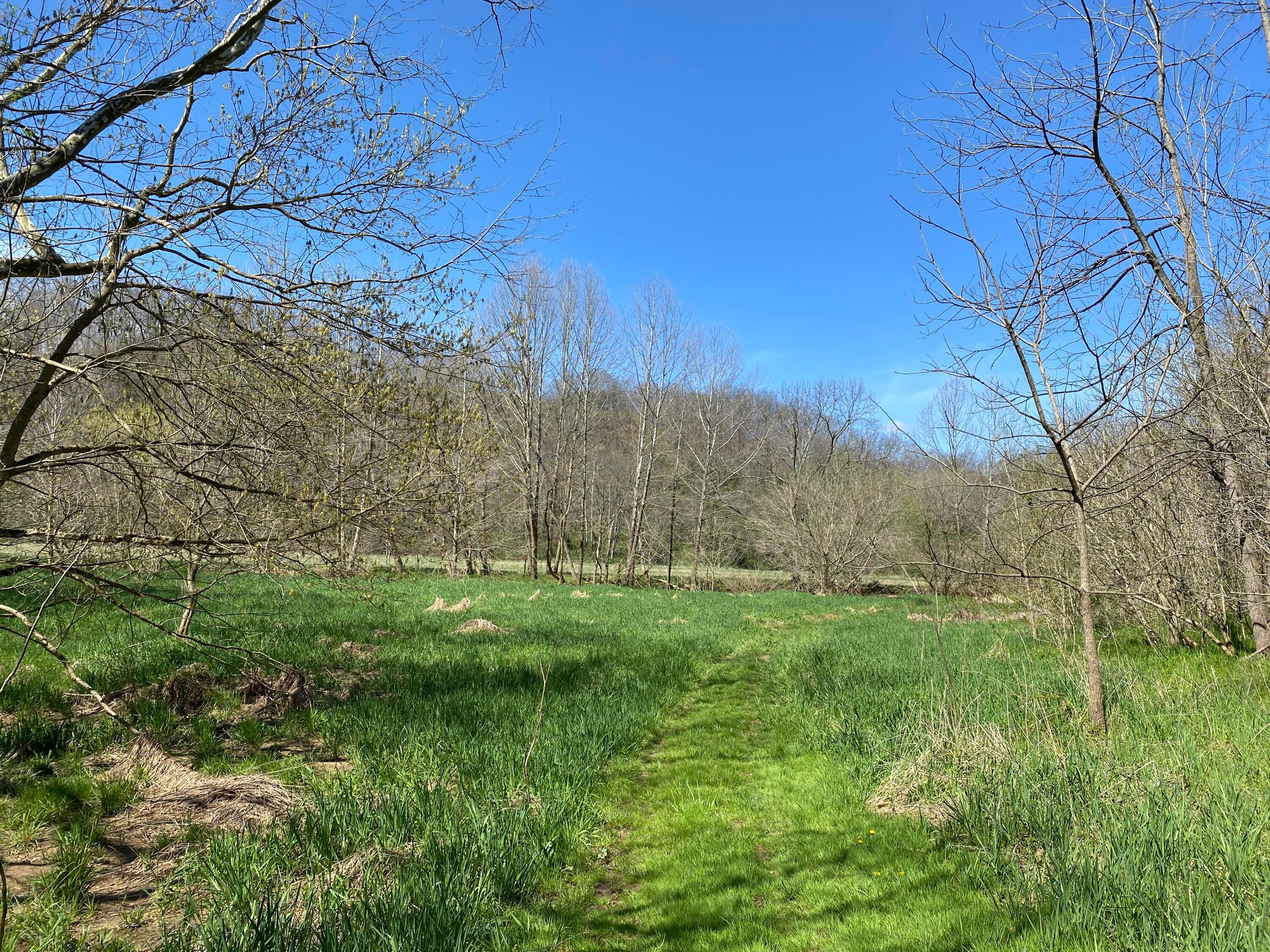 0 West Side Tr Reedsville, OH 45772 - Photo 16 of 19 Bottom of hill looking North, creek to the left.