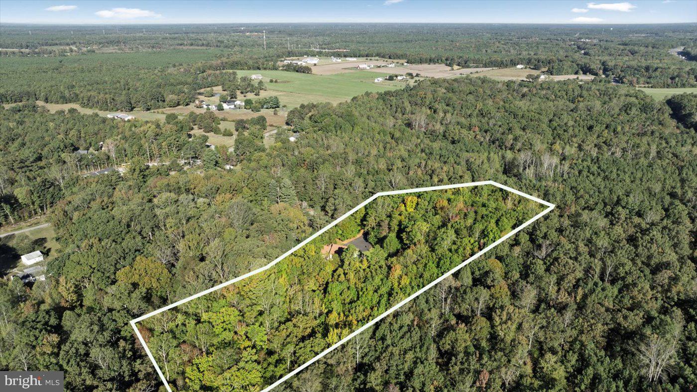 22617 Telegraph Road Ruther Glen, VA 22546 - Photo 46 of 46