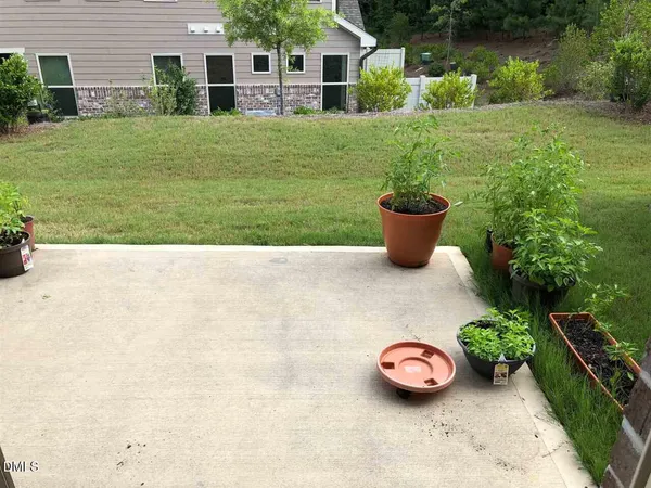 a view of a backyard with plants and a garden