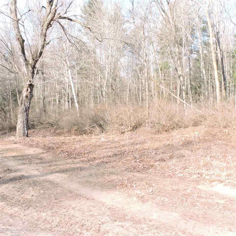 5800 Hess Road Vassar, MI 48768 - Photo 35 of 45 31369114-34.JPG